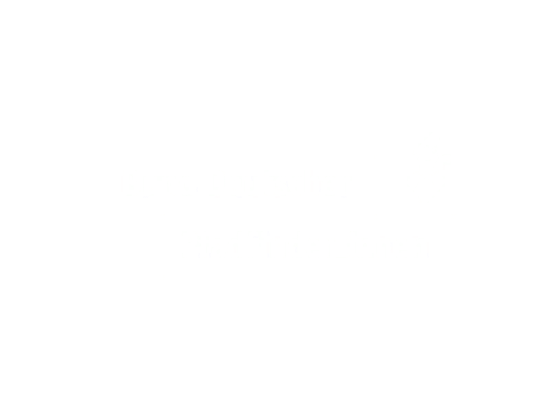 BDP logo weiss