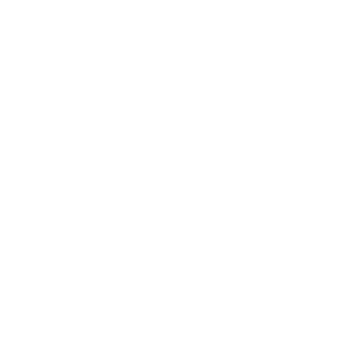 insta logo weiss