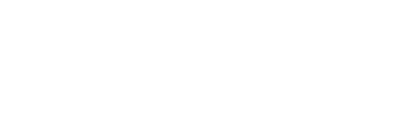 Chemnitz logo weiss